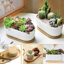 Load image into Gallery viewer, Collage of various potted plants and a small table setting with food.