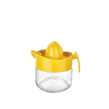 Load image into Gallery viewer, Juicer - Glass Citrus Juice squeezer with Handle (10 oz) - 300 ml. Juice squeezer