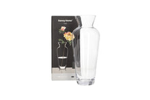 Load image into Gallery viewer, Decorative clear glass plant vase by Danny Home with box, showcasing elegant design and vintage charm.