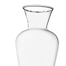 Load image into Gallery viewer, Decorative clear glass plant vase with a unique shape, adding vintage charm and elegance to any space.