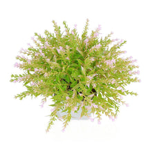 Load image into Gallery viewer, Artificial Plants - Artificial Wild Lavender Plant in Plastic Pot (15 x 15 x 18 cm)