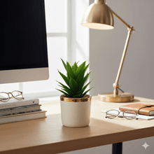 Load image into Gallery viewer, Potted plant on a desk with books, glasses, and a lamp in a home office setting