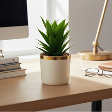 تحميل الصورة في عارض المعرض، Potted plant on a desk with books, glasses, and a lamp in a home office setting