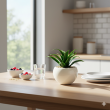 تحميل الصورة في عارض المعرض، Kitchen counter with a potted plant, glasses, and bowls of fruit.