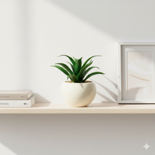 تحميل الصورة في عارض المعرض، Potted plant on a shelf with minimal decor