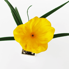 Load image into Gallery viewer, Yellow flower with green leaves on a white background