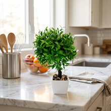 تحميل الصورة في عارض المعرض، Artificial boxwood ball tree in a white pot on a kitchen counter