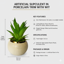 Load image into Gallery viewer, Artificial succulent plant in a porcelain pot with gold trim, featuring key features and specifications.