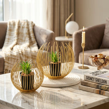 Load image into Gallery viewer, Two gold wire spherical plant holders containing small green succulent plants, displayed on a white surface with a magazine in the background.