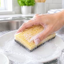 تحميل الصورة في عارض المعرض، Close-up of a rectangular sponge on a white background