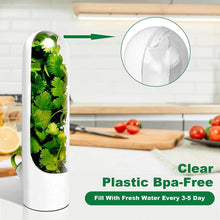 Load image into Gallery viewer, BPA-free clear plastic herb fridge capsule holding fresh cilantro on kitchen countertop.