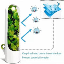 Load image into Gallery viewer, Herb fridge capsule with coriander, designed to keep herbs fresh and prevent moisture loss, ensuring quality preservation.
