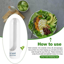 Load image into Gallery viewer, Herb Fridge Capsule with instructions for keeping herbs fresh and a salad bowl in the background.