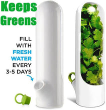Load image into Gallery viewer, Herb fridge capsule for keeping greens fresh with water refill instructions.