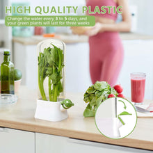 Load image into Gallery viewer, Herb fridge capsule made of high-quality plastic, designed to keep green herbs fresh and moisturized for extended periods.