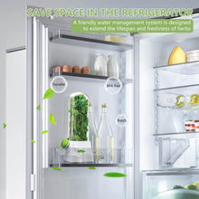 Load image into Gallery viewer, Herb fridge capsule in refrigerator showcasing fresh herbs, water management system, and BPA-free design to save space.