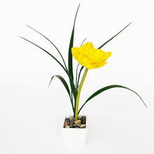 تحميل الصورة في عارض المعرض، Artificial Flower Plant in Mini Plastic Pot (22 x 9 x 9 cm)