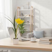 Load image into Gallery viewer, Artificial Flower Plant in Mini Plastic Pot (22 x 9 x 9 cm)