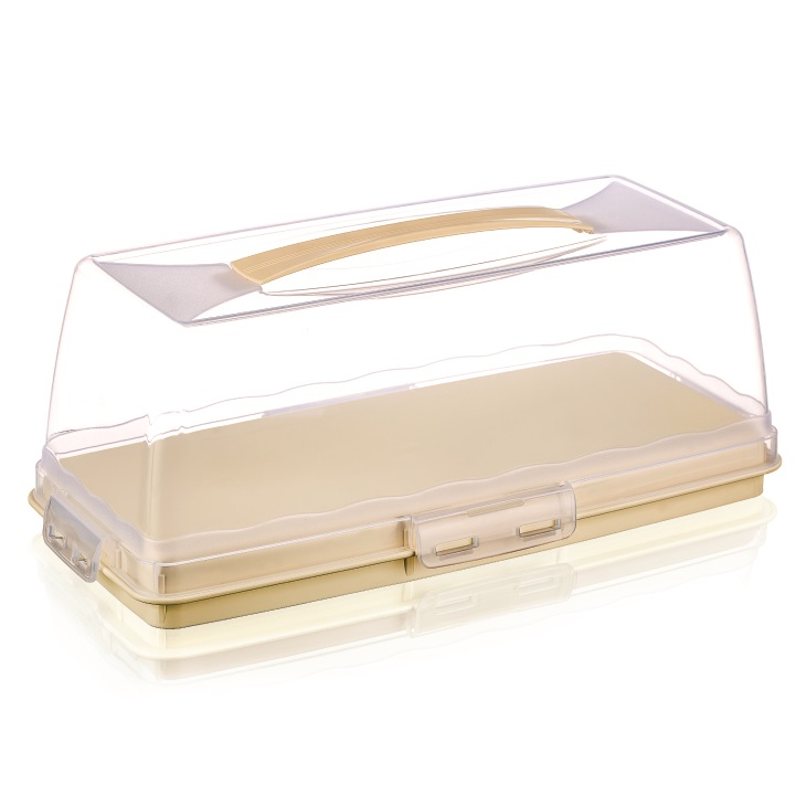 Rectangular Cake Carrier