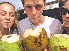 Load image into Gallery viewer, Straws - Reusable Stainless Steel Straws - (Set of 4 Pieces Straws with Cleaning Brush)
