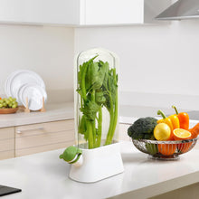 تحميل الصورة في عارض المعرض، Herb fridge capsule on kitchen counter keeping celery fresh with clear design and moisture control feature.

