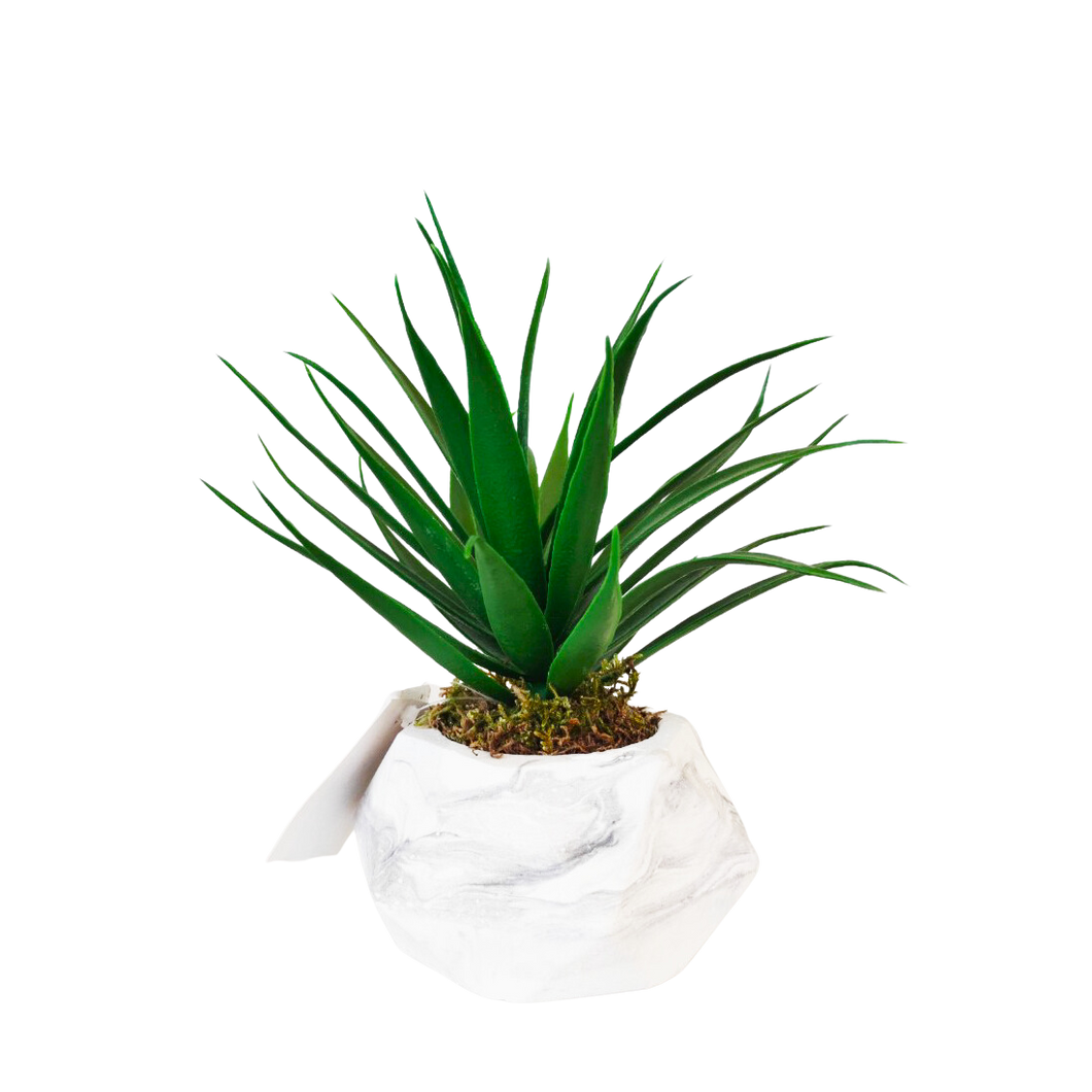 Artificial Plants - Artificial Palm Leaves Plant In Gypsum Pot 18 x 16 cm