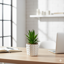 Load image into Gallery viewer, Potted plant on a desk with a laptop and notebook in a bright room.
