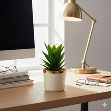 Load image into Gallery viewer, Potted plant on a desk with books, glasses, and a lamp in a home office setting
