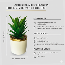 Load image into Gallery viewer, Artificial aloe vera plant in a porcelain pot with gold rim on a white background
