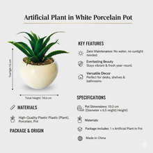 Load image into Gallery viewer, Artificial plant in a white porcelain pot with key features and specifications on a white background.
