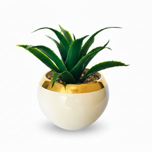 تحميل الصورة في عارض المعرض، Artificial Aloe Plant in White With Gold Frame Porcelain Pot | Faux Succulent for Minimalist Desk &amp; Bathroom Decor
