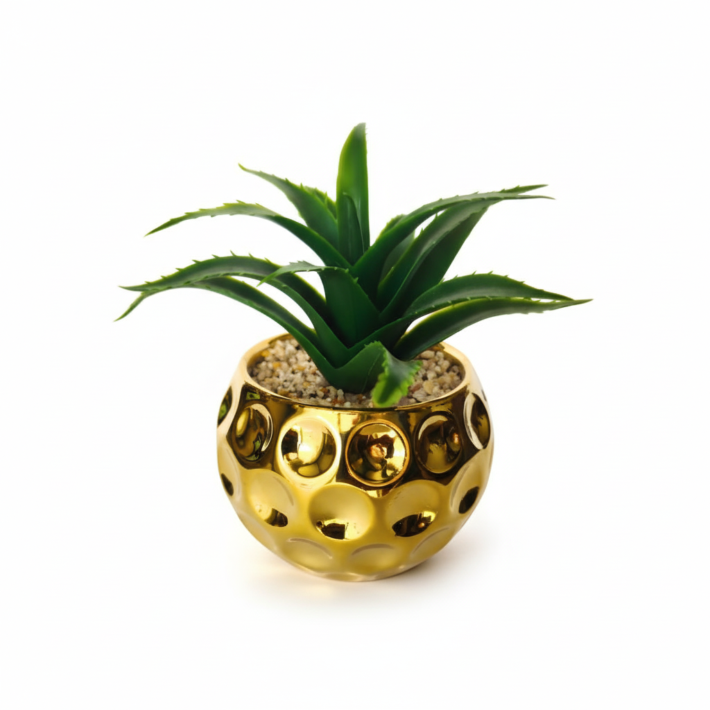 Green aloe vera plant in a gold decorative pot on a white background