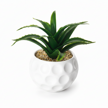 تحميل الصورة في عارض المعرض، Green aloe vera plant in a gold decorative pot on a white background
