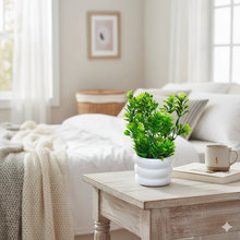 Load image into Gallery viewer, Green potted plant on a wooden coffee table in a cozy living room.
