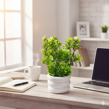 Load image into Gallery viewer, Potted plant on a desk with a laptop and coffee cup in a bright room.
