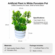 Load image into Gallery viewer, Artificial plant in a white porcelain pot with dimensions and specifications on a white background
