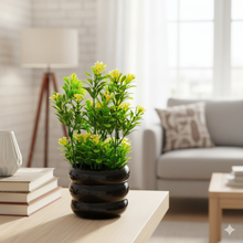 Load image into Gallery viewer, Potted plant on a table in a living room setting
