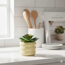 Load image into Gallery viewer, Small potted plant on a kitchen counter with utensils and decor in the background
