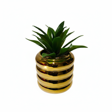 Load image into Gallery viewer, Green plant in a gold cylindrical pot on a white background
