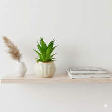 Load image into Gallery viewer, Potted plant on a wooden shelf with a white background
