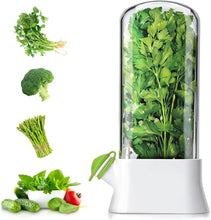 Load image into Gallery viewer, Herb Fridge Capsule for fresh herbs and vegetables, designed to keep coriander, parsley, and more fresh and moist.
