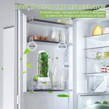 Load image into Gallery viewer, Herb fridge capsule in refrigerator showcasing fresh herbs, water management system, and BPA-free design to save space.

