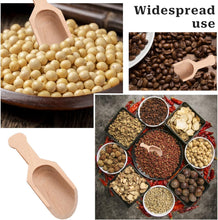 Load image into Gallery viewer, A collage showing a light natural wood scoop/credenza spoon in use with various seeds, beans, and spices, alongside a standalone view of the empty scoop on a white background.
