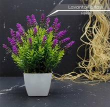 Load image into Gallery viewer, Artificial Lavender Plants in White Plastic Pot - 15 x 15 x 20 cm Home Décor Plant
