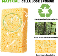 Load image into Gallery viewer, Eco-Friendly Cellulose Sponge - Non-Scratch, Strong Absorption - 11 cm×7 cm
