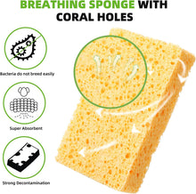 Load image into Gallery viewer, Eco-Friendly Cellulose Sponge - Non-Scratch, Strong Absorption - 11 cm×7 cm
