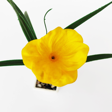 Load image into Gallery viewer, Artificial Flower Plant in Mini Plastic Pot (22 x 9 x 9 cm)
