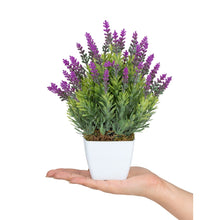 Load image into Gallery viewer, Artificial Lavender Plants in White Plastic Pot - 15 x 15 x 20 cm Home Décor Plant
