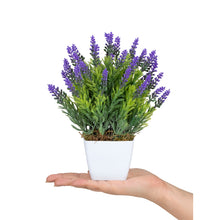 Load image into Gallery viewer, Artificial Lavender Plants in White Plastic Pot - 15 x 15 x 20 cm Home Décor Plant
