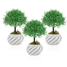 Load image into Gallery viewer, Artificial Single Tree Ball Boxwood in Mini White Gypsum Pot
